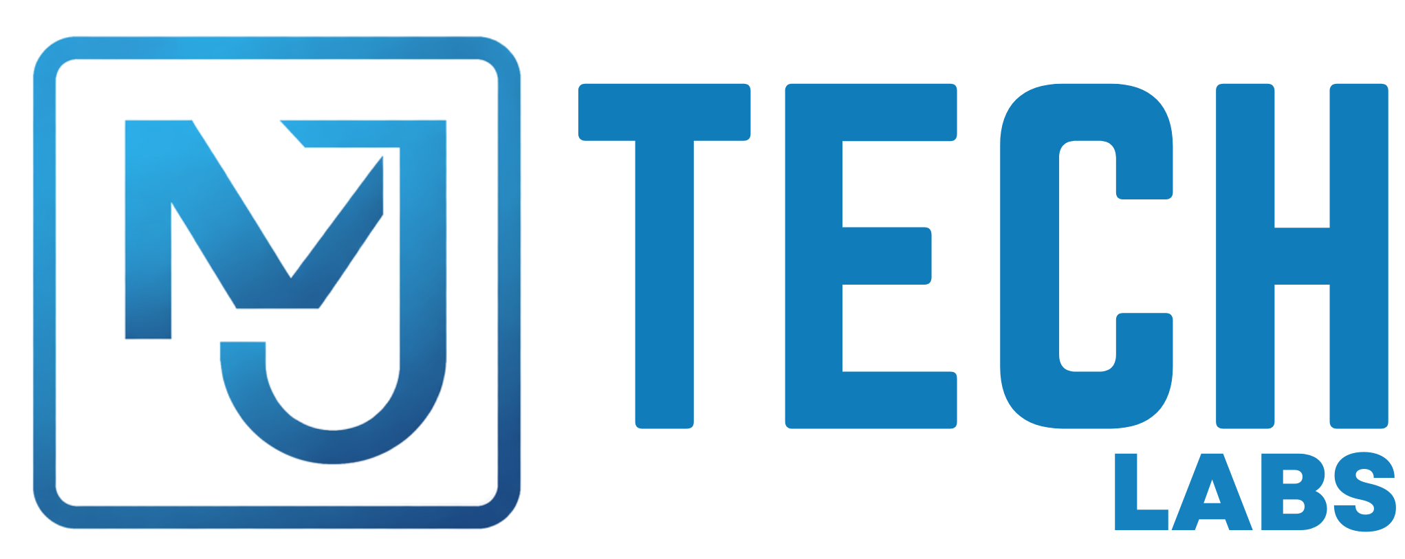 MJ TECH LABS LLP